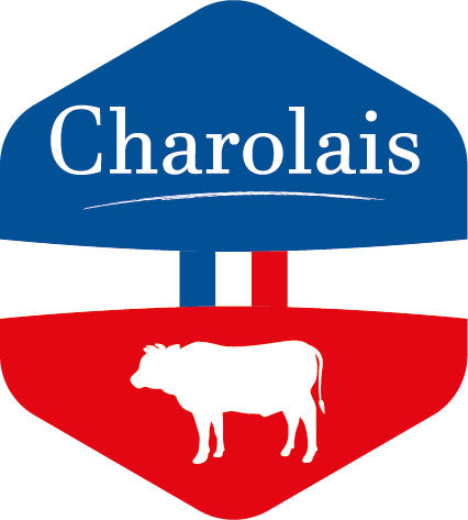 Charolais