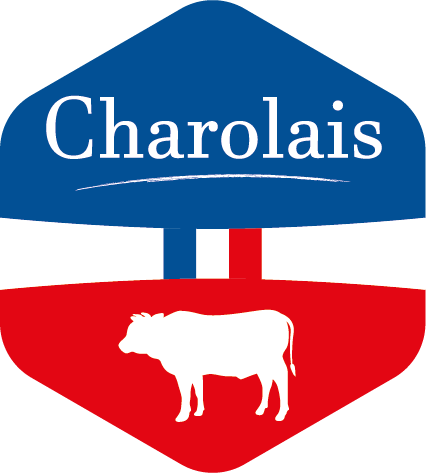Charolais